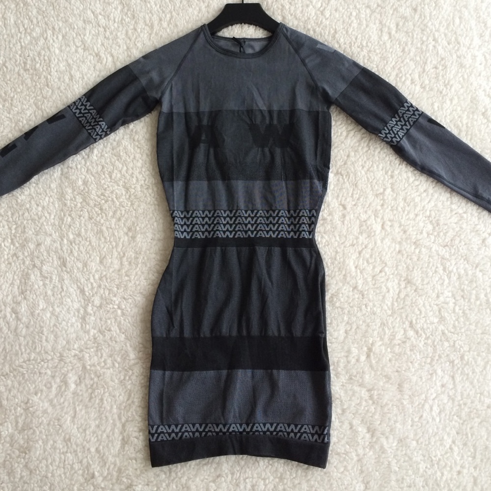 Alexander Wang x HM longsleeve dress